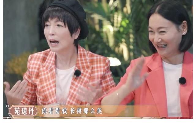 大湾仔的夜:苑琼丹惠英红综艺笑果拉满,张智霖露雀神本色