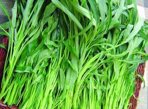 减肥|医生说它是“天然刮油王”，每天吃一点，刮油排毒，告别大肚腩