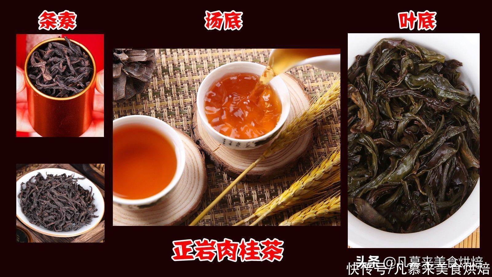  正岩肉桂属于什么茶？与大红袍有什么区别？日常饮用要注意这4项