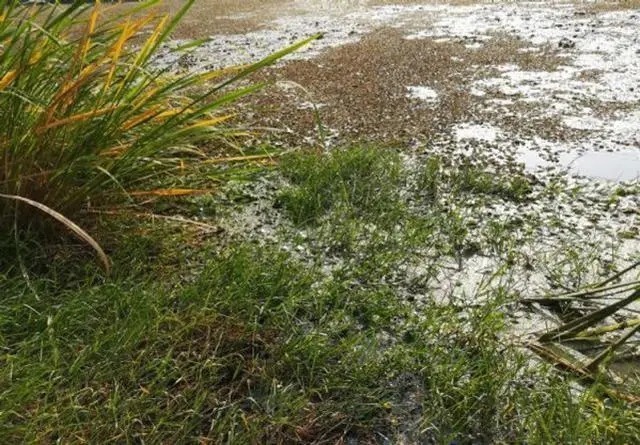 冬季鱼难钓，关键步骤是如何打好窝，往往有意想不到的收获