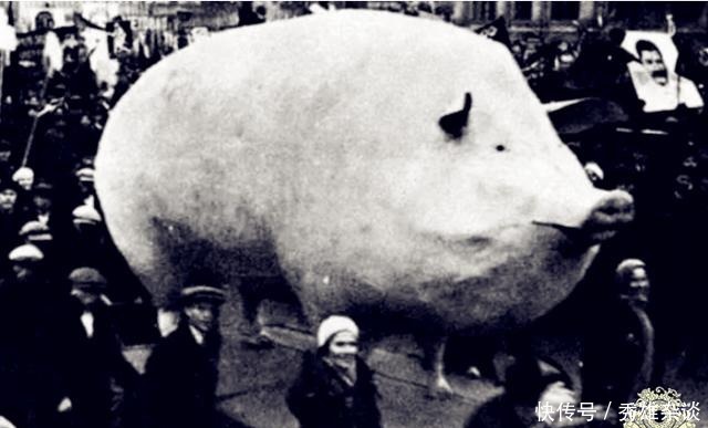 图六|一组罕见的历史老照片:图六肥猪赛大象,图九美女正在腿上画丝袜