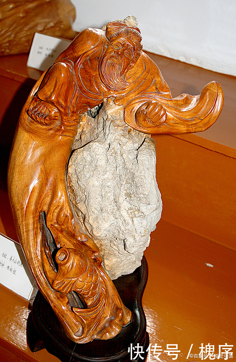 3万买棵盆景树,有人说不值,绿化带里大把,你觉得呢?