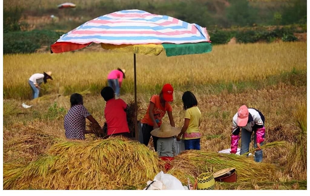 农村的年轻人如果没有一技之长，能否有翻身的机会？