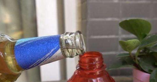 养虎皮兰,喂2种料,注意2个细节,叶片壮实,过冬更省心