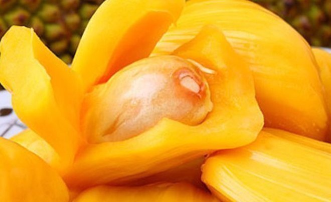 菠萝蜜|多给小孩吃此果,再贵也别省,让小孩远离近视,个子嗖嗖的长