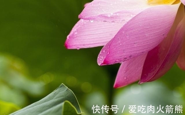 摩羯座|好运来了,下个星期起,处处逢喜事,财运得改善,金库满溢