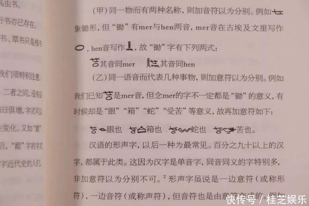 王力$中国现代语言学大师耗尽半生的扛鼎之作,打开传统文化大门这才是中国人的必读书