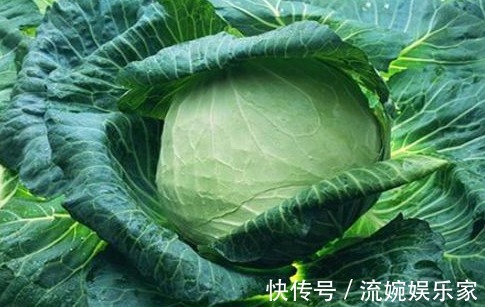 瘦身|秋季养生,推荐的食物,排毒消脂,清理肠胃,营养又瘦身