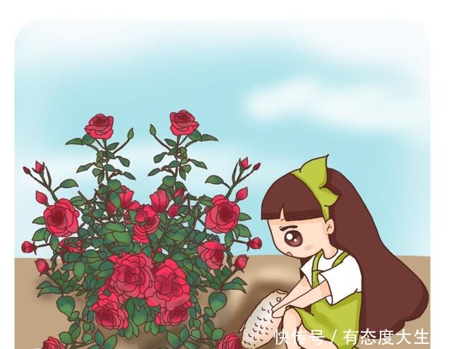 4种花,现在赶紧施肥,否则一年都不开花!