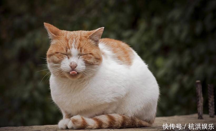 女神|有这3种眼型的女生，基本与女神颜值无缘了，很多人都是第1种