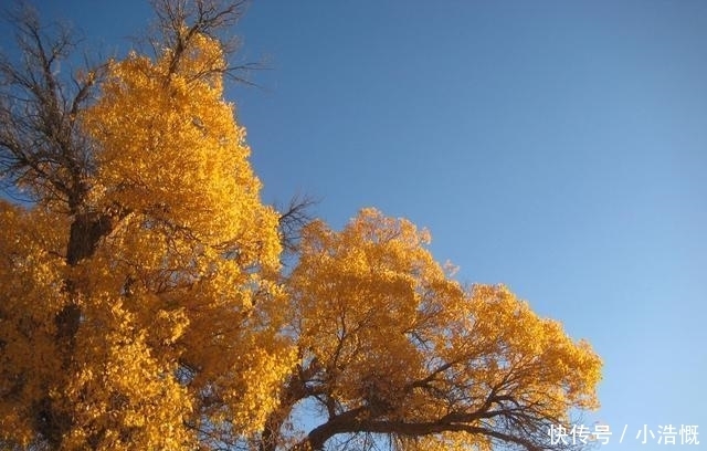 可恨|我的懦弱比他的不知所措更可恨