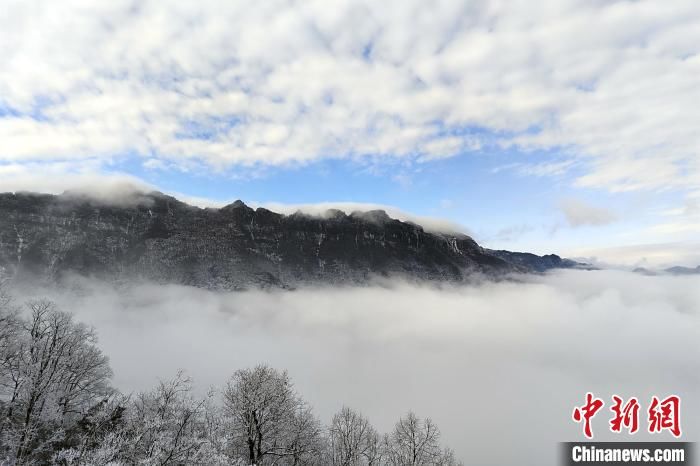 仙境|湖北神农架：白雪苍茫宛如仙境