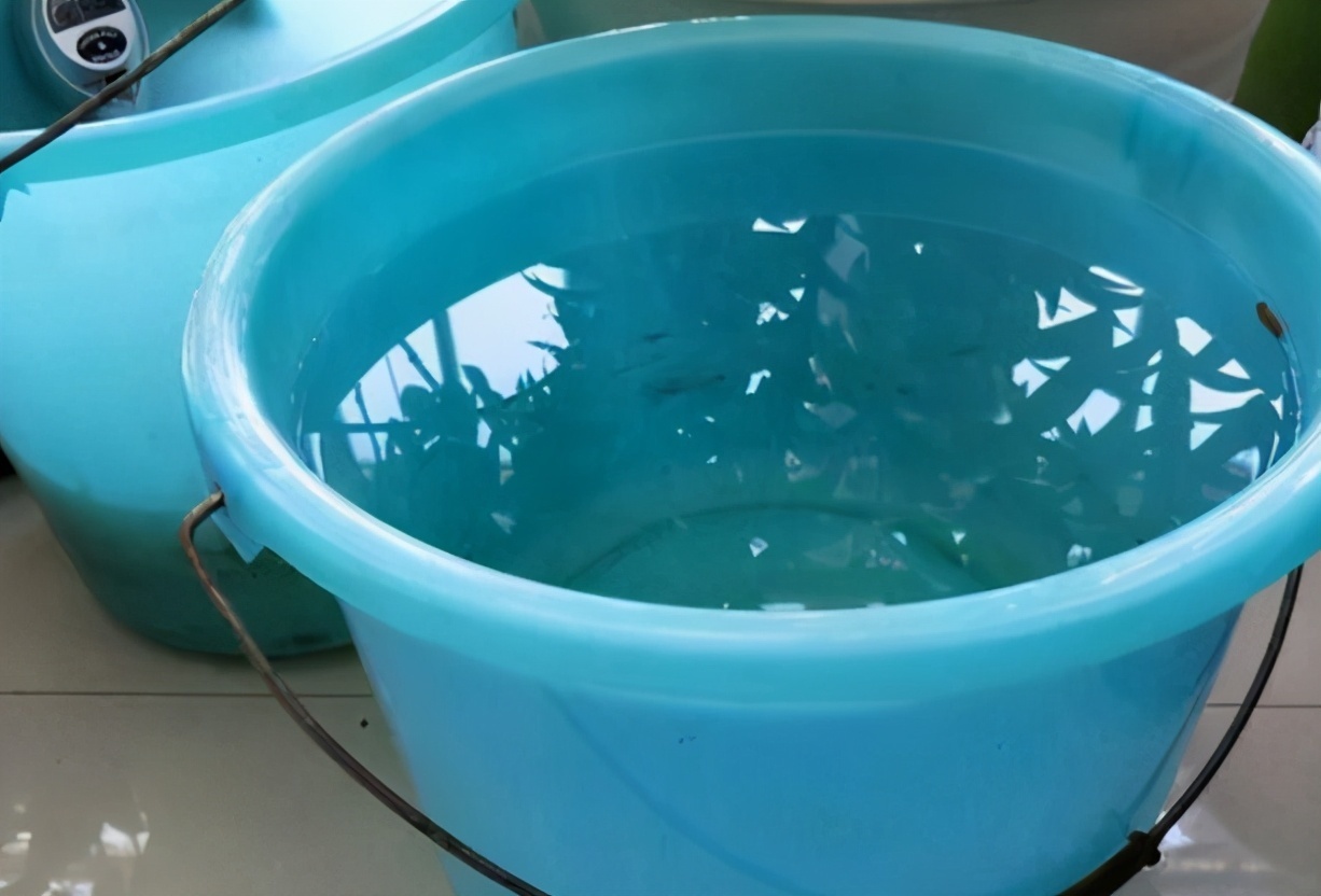 养花|养花入门小知识给盆栽浇水有哪些技巧或要求