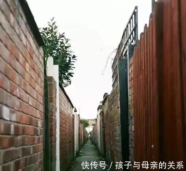 健康|老年痴呆症测试不要靠别人,看看你需要几秒钟找到