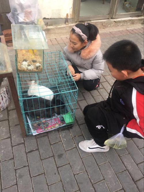 宝宝|妈妈画画中途去买菜,宝宝给画添上“女主角”,网友:神来之笔