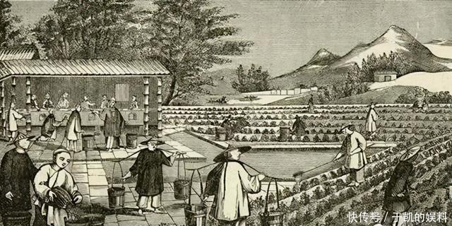 冻死街头的乞丐,写的诗惊艳世人