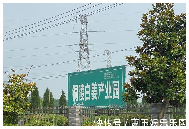 黑豆|99岁国医透露:这2种食物我从不吃!值得记住的私家调理方!