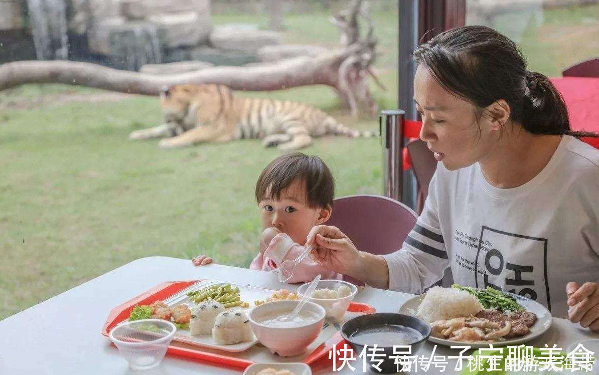 餐具|宝宝不好好吃饭,那是因为父母没有用对方法,以下4点必须要了解