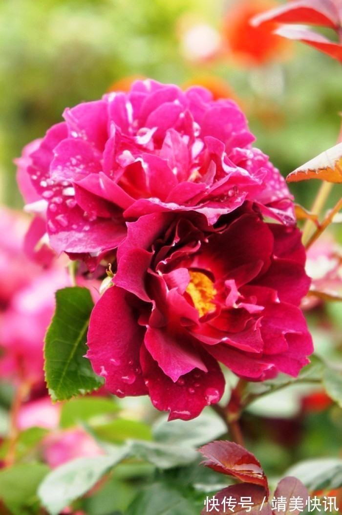 春光灿烂$很有意境的句子,生活是个万花筒,酸甜苦辣尽藏其中