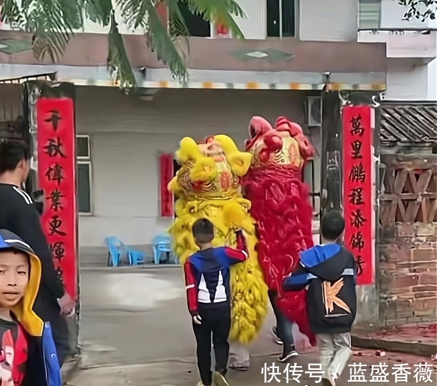 佳节|全红婵老家欢度春节!举旗舞狮挨家拜年,红姐家成重点拜年对象!