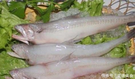 国内4种口感超棒的鱼,好吃又便宜你吃过几种呢