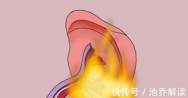 调理|一切大病从脾衰开始，脾的“恩人”被找到了，带着吃，养好脾