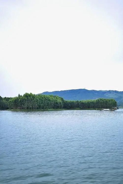 天地|探寻西津湿地 游一方静谧天地