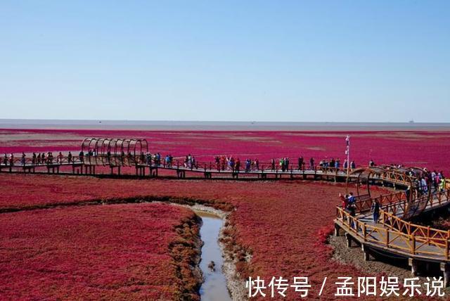 红色|独一无二的红色沙滩，一年只红一次，十一出行首选，就在东北