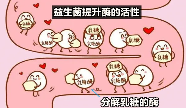 肠道菌群很重要,从小抓起更有效|?大白话说中医第一百六十三期| 小孩子