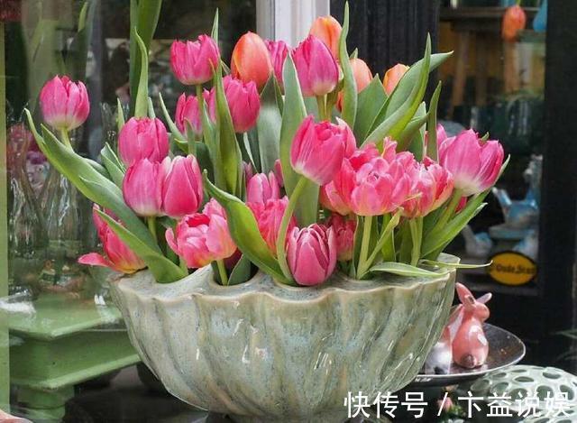 卧室养花避开这5种,熏得头晕脑胀,最容易失眠