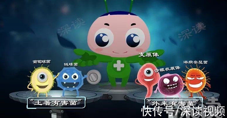 病原體|性生活過頻、人流手術會引發盆腔炎？生活中哪些事易招惹盆腔炎？