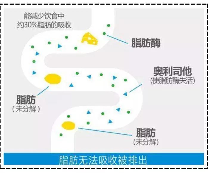 养生 美容养生圈9大骗人单品，你买过几样？