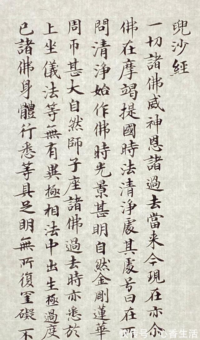 楷书#歌手郑智化,小楷书法功力深厚,还会写瘦金体,《长恨歌》见功夫