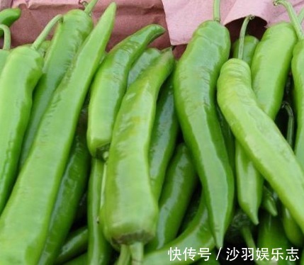 想要尖椒高产量必学尖椒的种植要点，后期管理也是关键