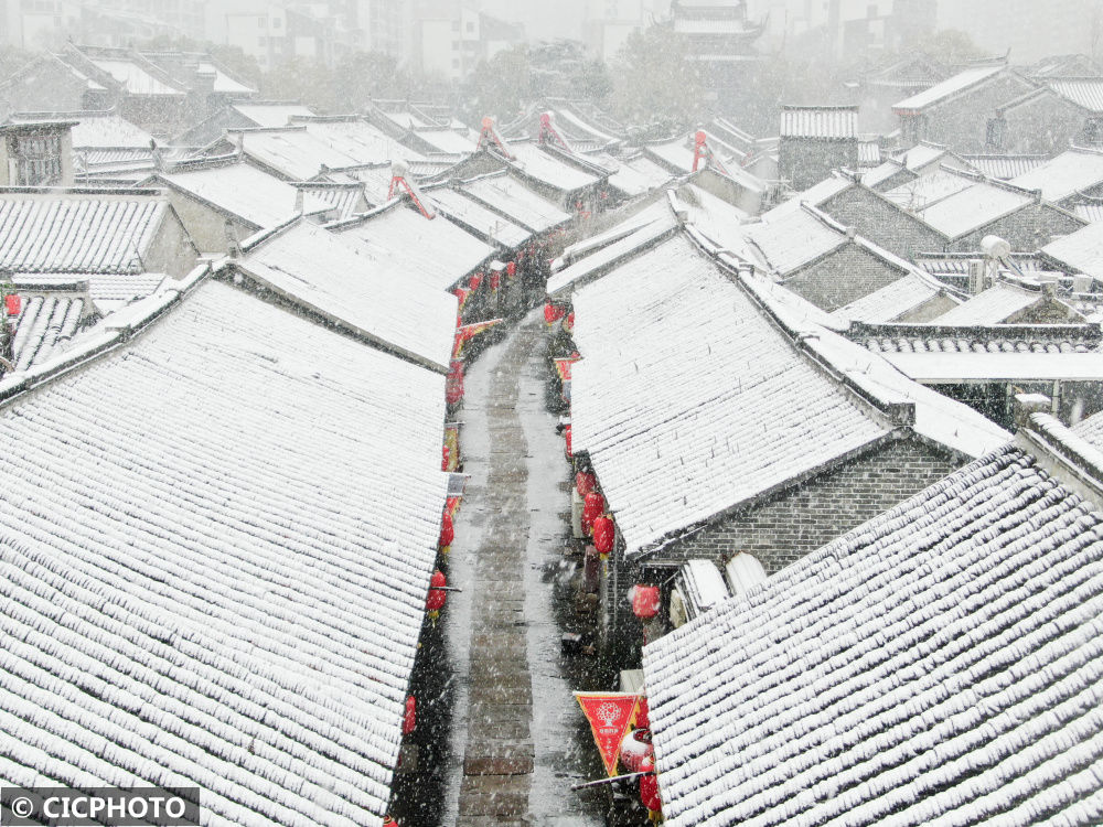 icphoto|新春雪绒绒