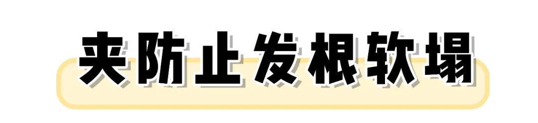 6个超简单的发型小技巧，巨巨巨显脸小