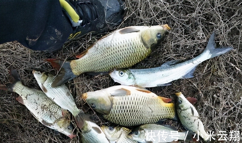 深水|冬钓到底钓深还是钓浅,这几个必要条件,你得弄明白才行