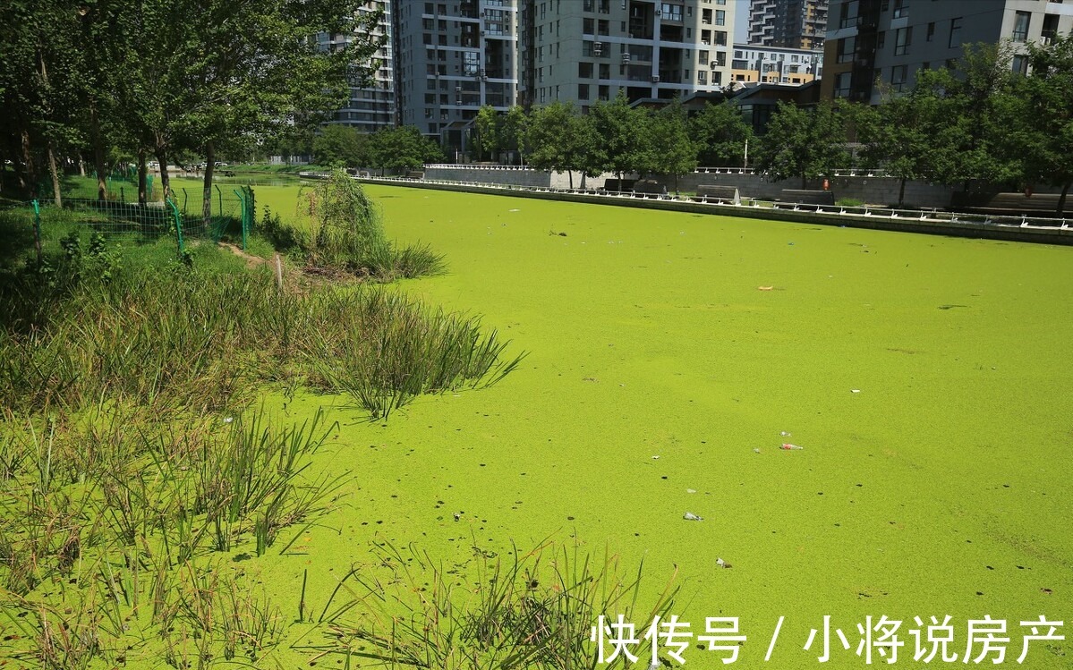 大社区|买房是选大社区还是小社区?