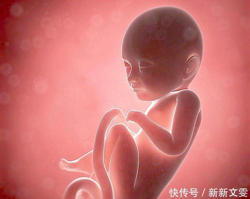 胎儿|孕妈玩手机时,胎儿在肚子里有什么变化看完才知母子连心的神奇