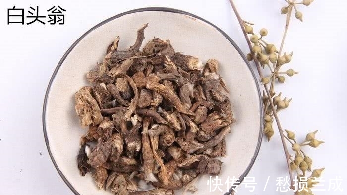 外痔|一味药,痔疮“消停”了!捣碎了一抹就行