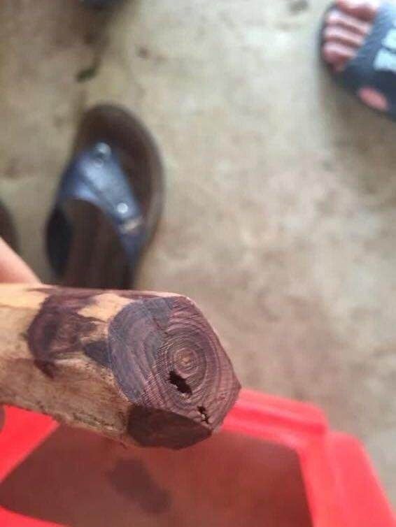  爱好者|小伙花12万淘到的木头，切开后本因打水漂，再切众人羡慕不已