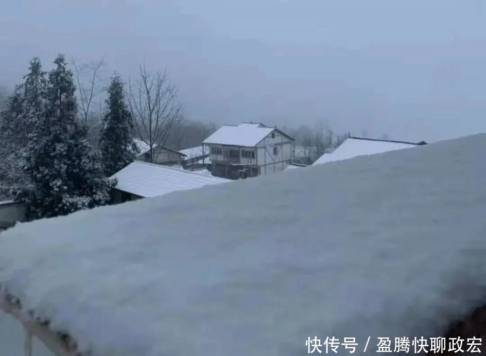 实在|贵州旅游｜贵州下雪啦！这些雪景图实在太美了！你那边下雪没？