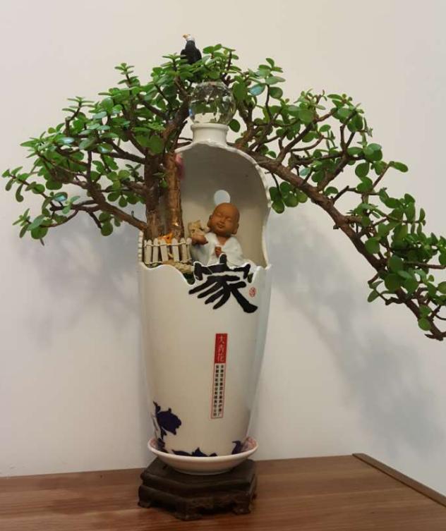 酒瓶外形好看就拿来当花盆，搭配文竹、吊兰、金枝玉叶，特美！