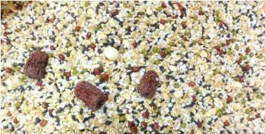 父子俩|熊孩子逛超市闯祸,将大米和绿豆混杂在一起,宝爸上网求助怎么办