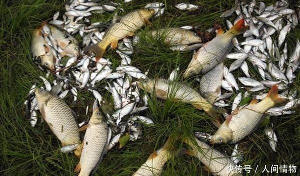 钓鱼实用技巧,用这些小窍门,有效减少子线弯曲打结,轻松钓大鱼