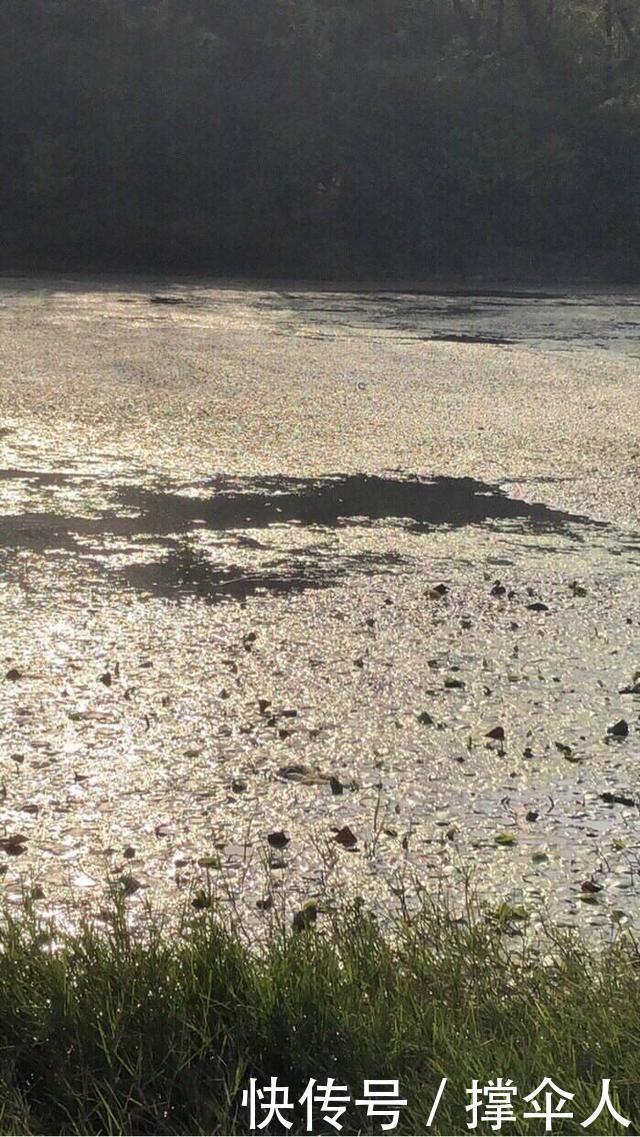 冬天如何钓好草洞？三个技巧让你渔获倍增---皇禾钓具