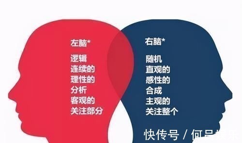 右脑|右脑发达的孩子,大多有以下特征,日后多半是学霸的“苗子”