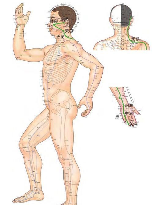 阳气|学此一招！仅用好一个穴位，很多毛病就会迎刃而解，不治自消！