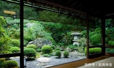 打砸|苹果公司在印度被打砸烧,员工因为薪资下降拖欠而不满!