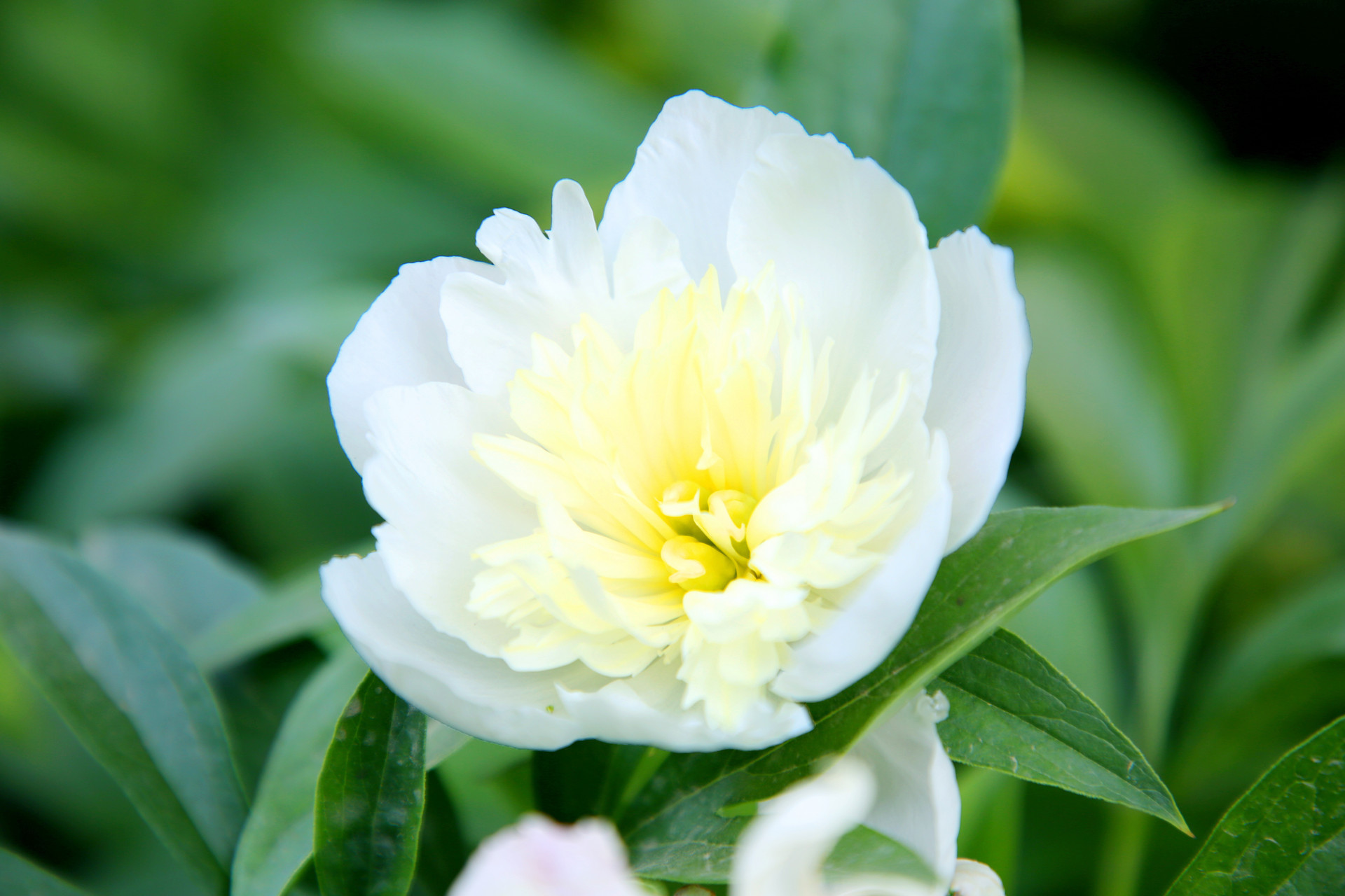 沉默是金&话不多的人,其实很厉害